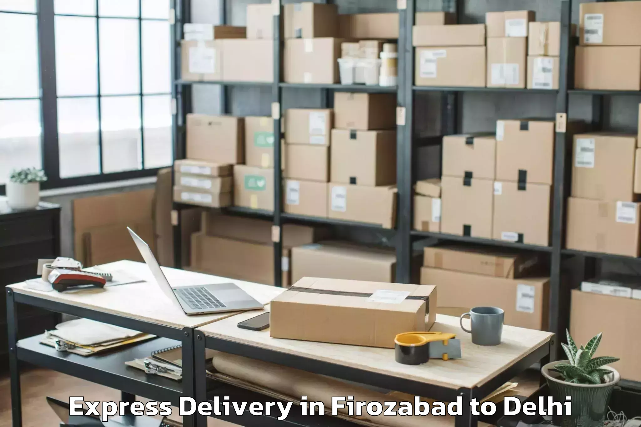 Trusted Firozabad to University Of Delhi New Delhi Express Delivery